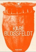 Cover: Blossfeldt - TASCHEN