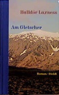 Cover: Am Gletscher - Steidl