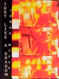 Cover: Just like a shadow - Steidl