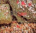 Cover: Das Buch von der Liebe - Peter Hammer Verlag