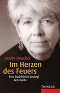 Cover: Im Herzen des Feuers - Theseus Verlag in Kamphausen Media GmbH