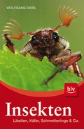 Cover: Insekten - BLV