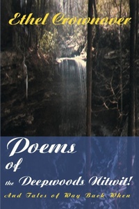 Abbildung von: Poems of the Deepwoods Nitwit! - iUniverse