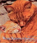 Cover: Wenn Katzen tr&auml;umen... - Ellert & Richter