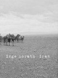 Cover: Iran - Steidl