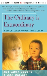 Enlarge image Cover: The Ordinary is Extraordinary - iUniverse
