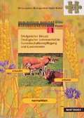 Cover: Erfolgreicher Einsatz &ouml;kologischer Lebensmittel in Gemeinschaftsverpflegung und Gastronomie - Matthaes, H