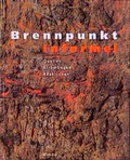 Cover: Brennpunkt Informel - Wienand