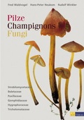 Cover: Pilze Champignons Fungi - AT Verlag
