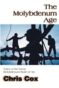 Cover: The Molybdenum Age - iUniverse