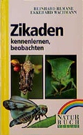 Cover: Zikaden - Naturbuch