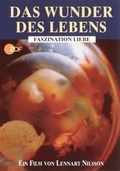 Cover: Das Wunder des Lebens - scholo Verlag