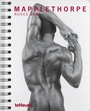 Cover: Mapplethorpe 2011 - Neumann Verlage GmbH & Co. KG