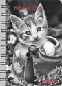 Cover: Kittens 2011 - Neumann Verlage GmbH & Co. KG