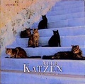 Cover: Alle Katzen - Knesebeck