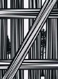 Cover: Paul Morrison. Chloroplast - K&ouml;nig, Walther