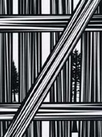 Enlarge image Cover: Paul Morrison. Chloroplast - König, Walther
