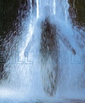 Cover: Bill Viola - Cantz'sche