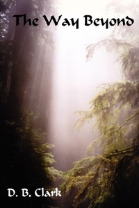 Enlarge image Cover: The Way Beyond - iUniverse