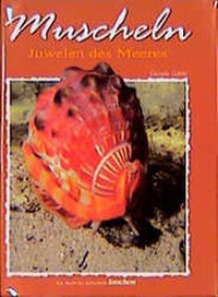 Enlarge image Cover: Muscheln - Jahr Top Special