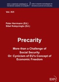 Cover: Precarity - More than a Challenge of Social Security - Ehv Academicpress
