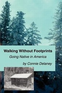 Enlarge image Cover: Walking Without Footprints - iUniverse