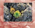 Cover: Alles muss klein beginnen - Thomas-Vlg