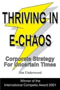 Cover: Thriving in E-Chaos - iUniverse