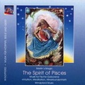 Cover: The Spirit of Pisces /Musik f&uuml;r den Fisch - Windpferd