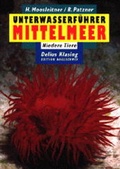 Cover: Unterwasserf&uuml;hrer Mittelmeer /Under Water Guide Mediterranean - Naglschmid, S
