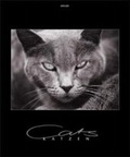 Cover: Albrecht Schnabel: Katzen 2002 - Athesia Kalenderverlag GmbH