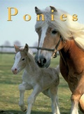 Cover: Ponys - Feierabend Verlag
