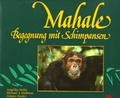 Cover: Mahale - Navalon
