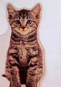 Enlarge image Cover: Theo und Pepper - DK Verlag Dorling Kindersley