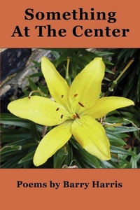 Abbildung von: Something at the Center - iUniverse