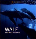 Cover: Wale - National Geographic Deutschland
