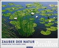 Cover: Zauber der Natur 2004 - Palazzi