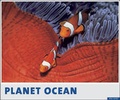 Cover: Planet Ocean 2006 - Palazzi