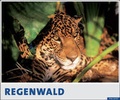 Cover: Regenwald 2006 - Palazzi
