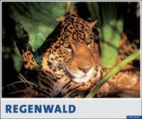 Enlarge image Cover: Regenwald 2006 - Palazzi