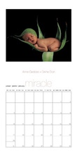 Cover: Anne Geddes Miniwandkalender 2005 - Pictura GmbH & Co KG