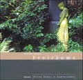 Cover: Freir&auml;ume - Blesa