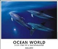 Cover: Ocean World 2003 - Palazzi
