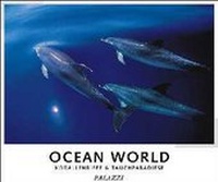 Enlarge image Cover: Ocean World 2003 - Palazzi