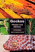 Cover: Geckos im Terrarium - Bede