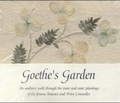 Cover: Goethe's Garden - Tympano