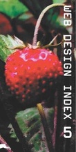 Cover: Web Design Index 5 - Agile Rabbit