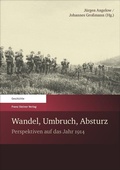 Cover: Wandel, Umbruch, Absturz - Franz Steiner Verlag