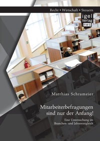 Abbildung von: Mitarbeiterbefragungen sind nur der Anfang! Eine Untersuchung im Branchen- und Jahresvergleich - Igel Verlag