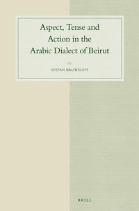 Abbildung von: Aspect, Tense and Action in the Arabic Dialect of Beirut - Brill